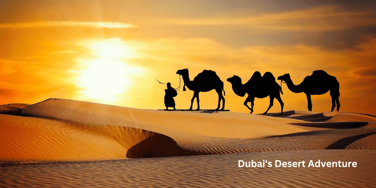 Dubai's Desert Adventure UAE