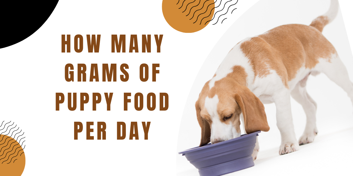 How Many Grams Of Puppy Food Per Day