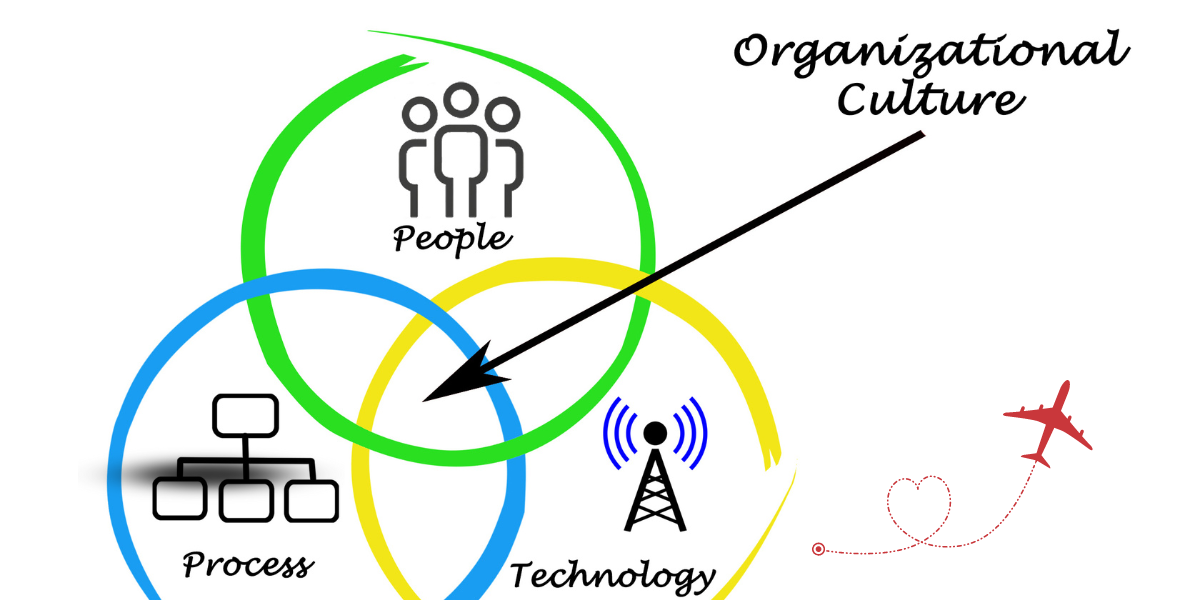 What Is Organizational Culture