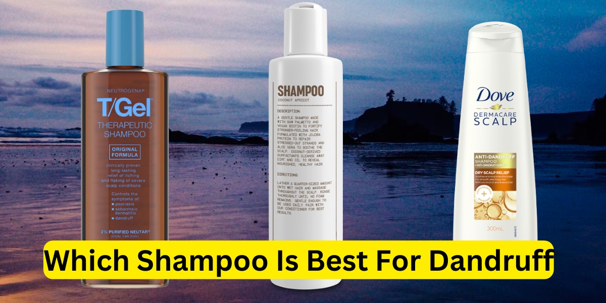 Which Shampoo Is Best For Dandruff