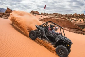 Complete Guide to Desert Safari on a Budget Unforgettable UAE Adventure Without Splurging