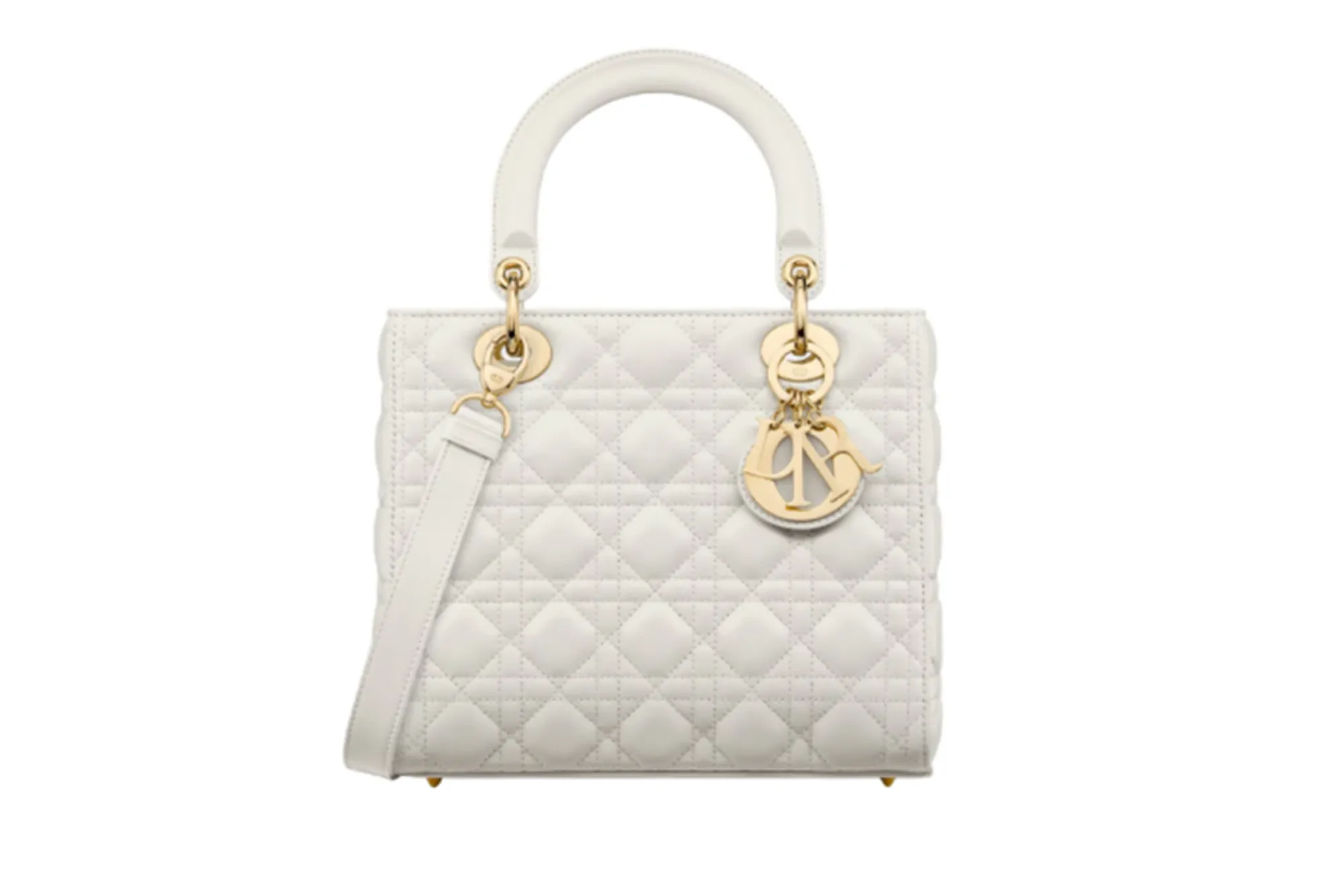 chicness of Dior bags