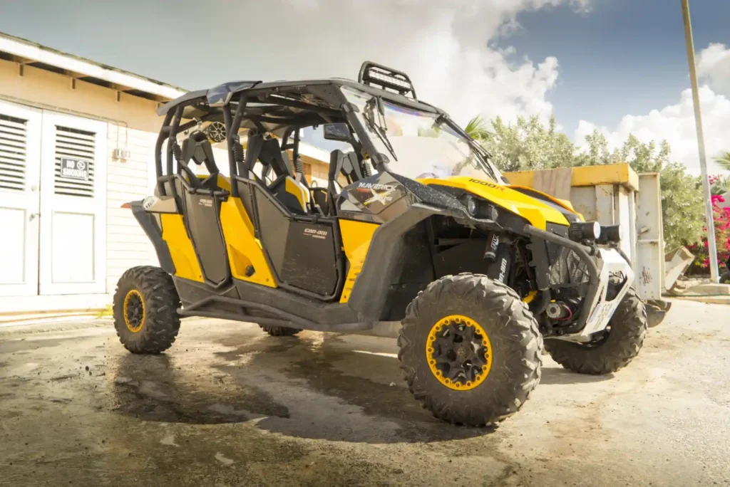 Luxury Buggy Tours