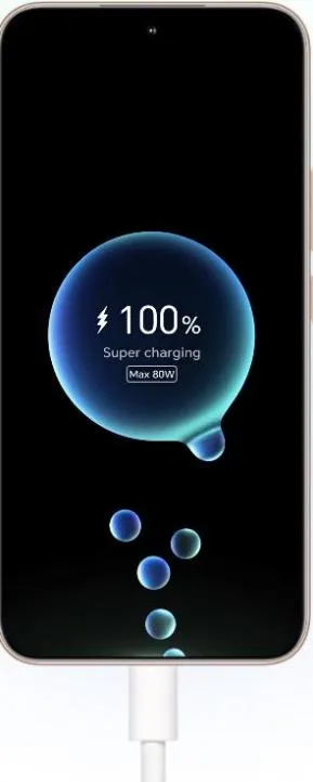 Charging Speed and Efficiency