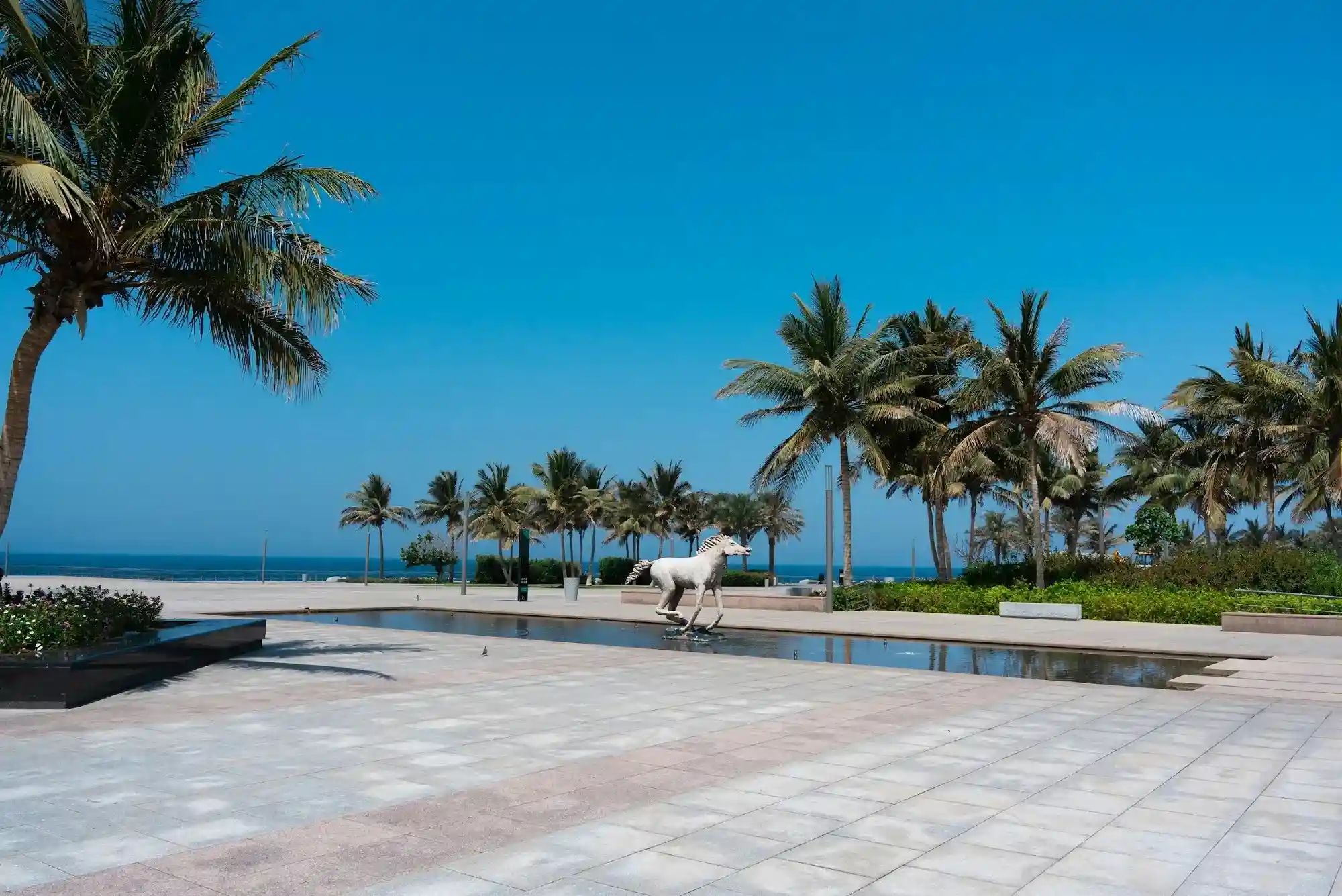 Unforgettable Jeddah Experiences