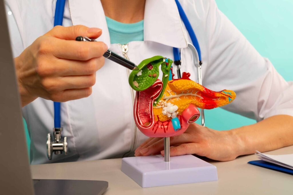 Gastroenterology Understanding The Importance Of Digestive Health