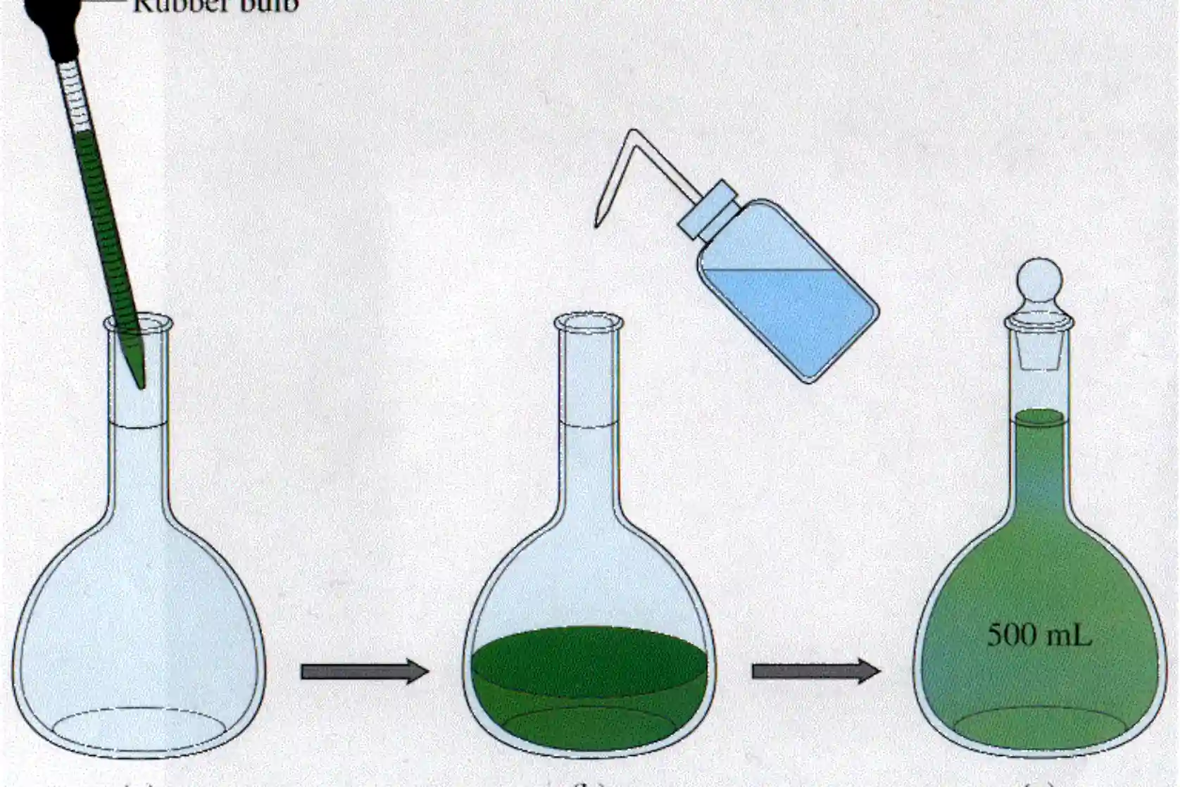 Everything-You-Need-to-Know-About-Dilution-Ratio-Calculators.webp November 16, 2025