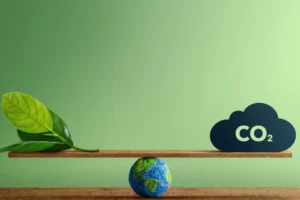 Why-You-Should-Use-a-Carbon-Footprint-Calculator-Today.webp