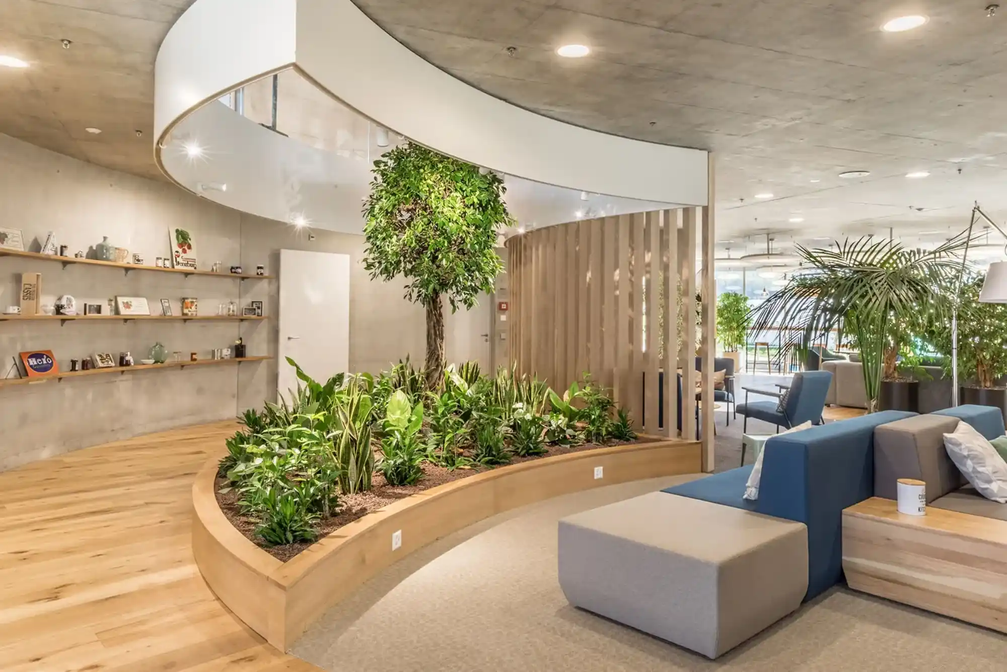 Biophilic Design in Dubai Why Nature-Integrated Interiors Work Especially Well Here